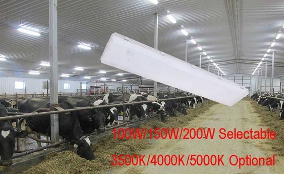 100W 3500K 4FT LED-dampvrij hoge baai IP67 met transparante polycarbonaatdiffuser