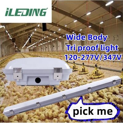 Industrieel LED-verlichtingsoplossing voor opslagruimten