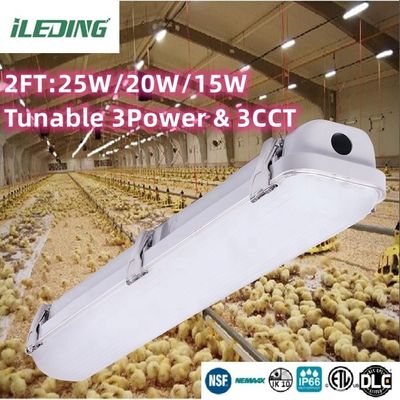 80 Ra LED dampdicht 2ft 3CCT Selecteerbare LED dampdicht IP66 voor Linkable Lighting