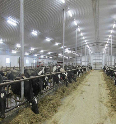 LED-dampdicht voor commerciële en industriële lampen