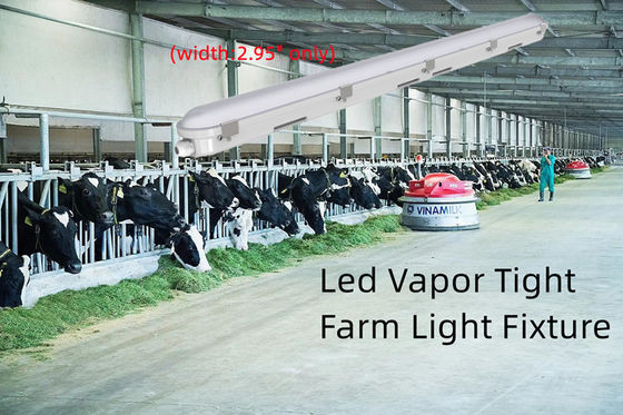 4FT Tri-Proof LED-verlichtingsinstallatie 42W lineair dampstrak licht voor voedselopslag Duurzaam