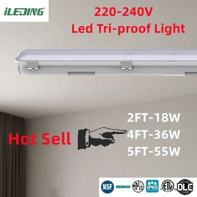 Commerciële LED dampdicht 18W 4Ft met waterdichte IP66 rating en dimmer ondersteuning