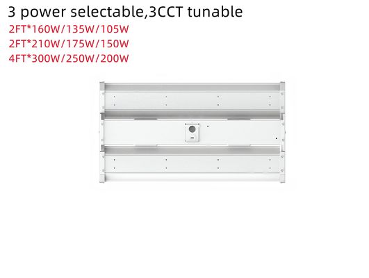 160W 2FT 4FT LED lineaire High Bay Light Fixture voor Indoor Commercial Office Light