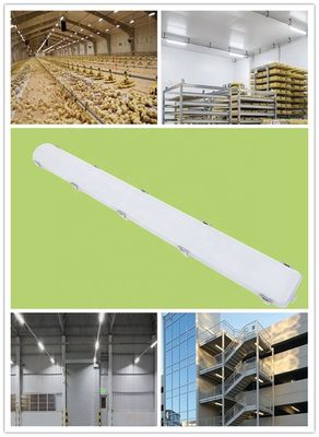 IP66 Waterdicht Lineair 65W Warehouse LED Damp Strak Licht Energie voor Indoor Melkveehouderij